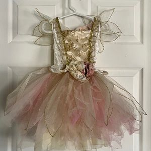 Princess/Fairy Costume